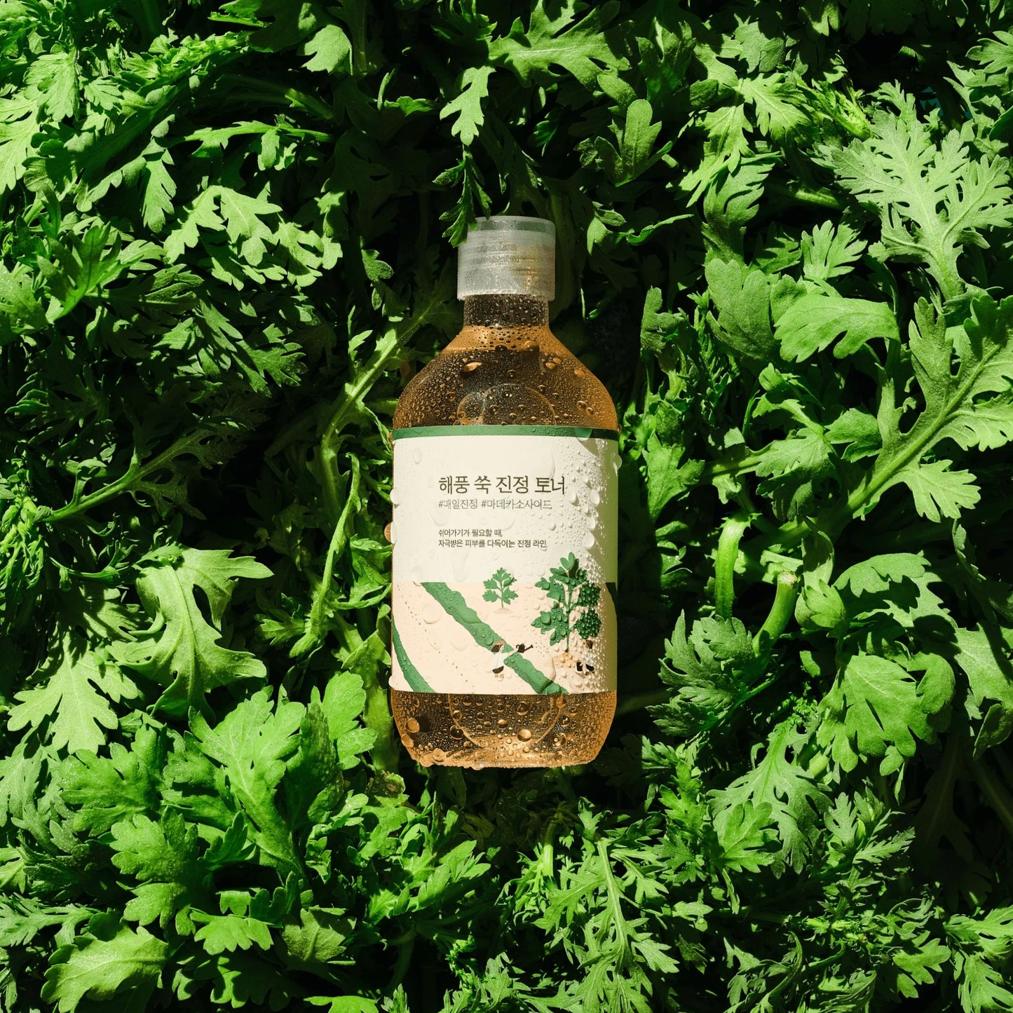 Mugwort Calming Toner